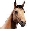 Ridable Horse