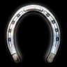 High Quality Horse Shoes