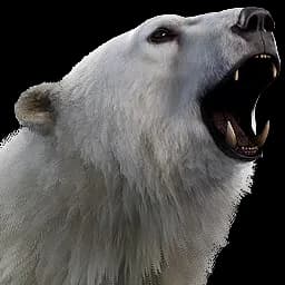 Polar Bear