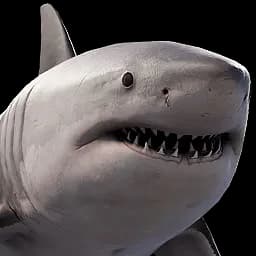 Shark